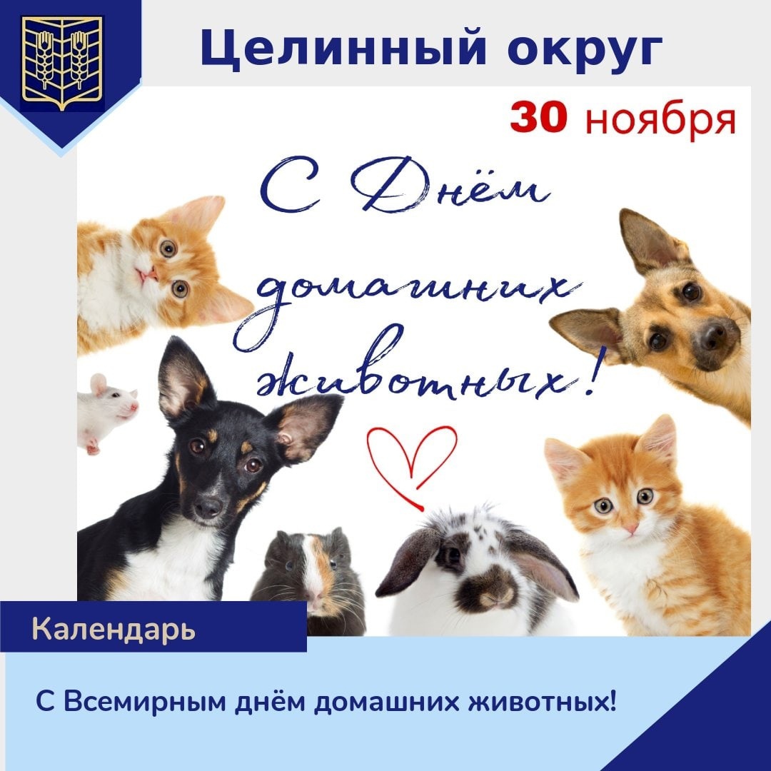 #про45#День домашних животных#образование45.