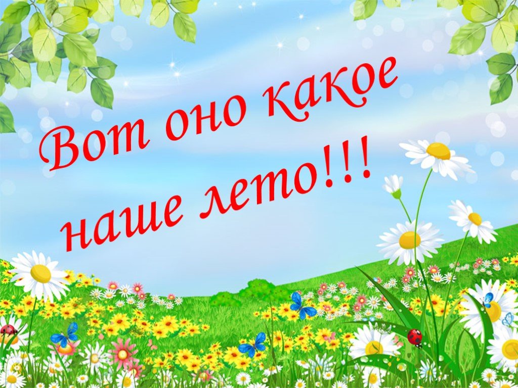 #про45#Мы за ЗОЖ#образование45.