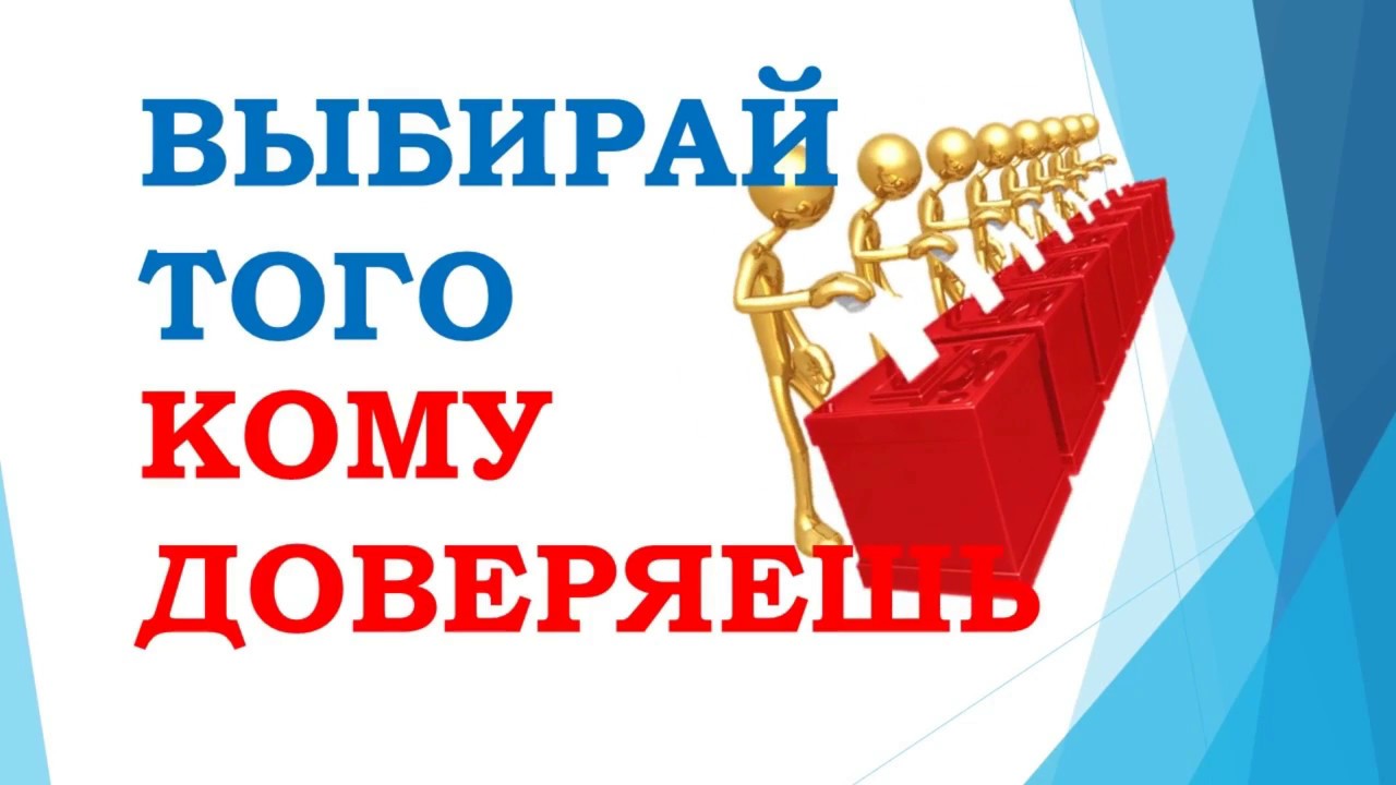 #про45#Выборы лидера#образование45.